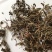 中药材石蝉草货品质量保证批发各种中药材