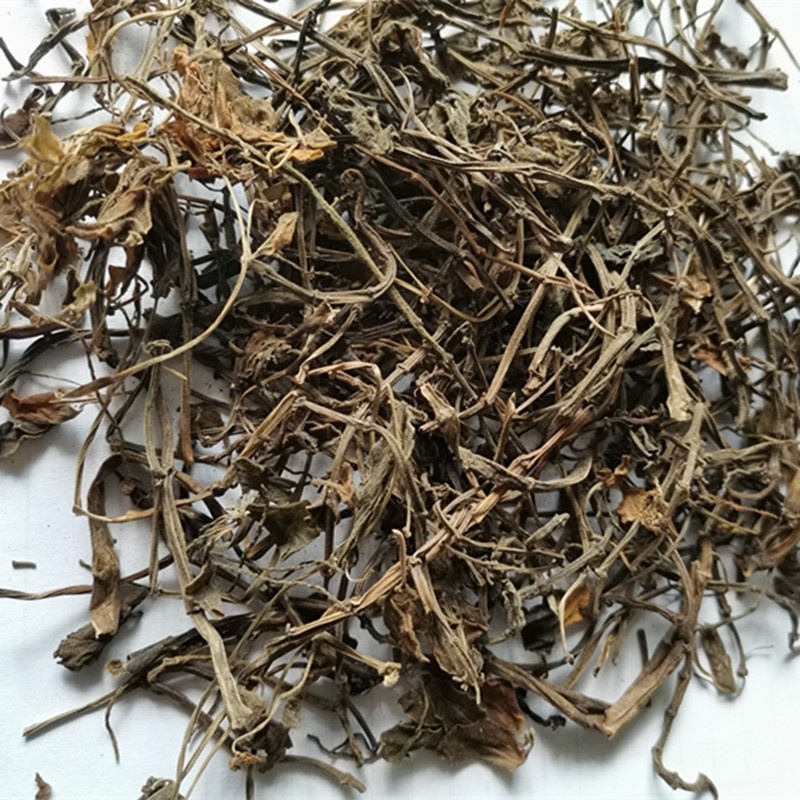 中药材石蝉草货品质量保证批发各种中药材