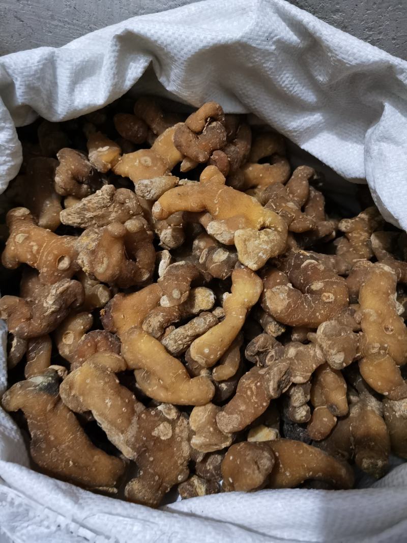 秦岭野生正品鸡头黄精姜型黄精鸡头根鸡头参选货药厂货都有