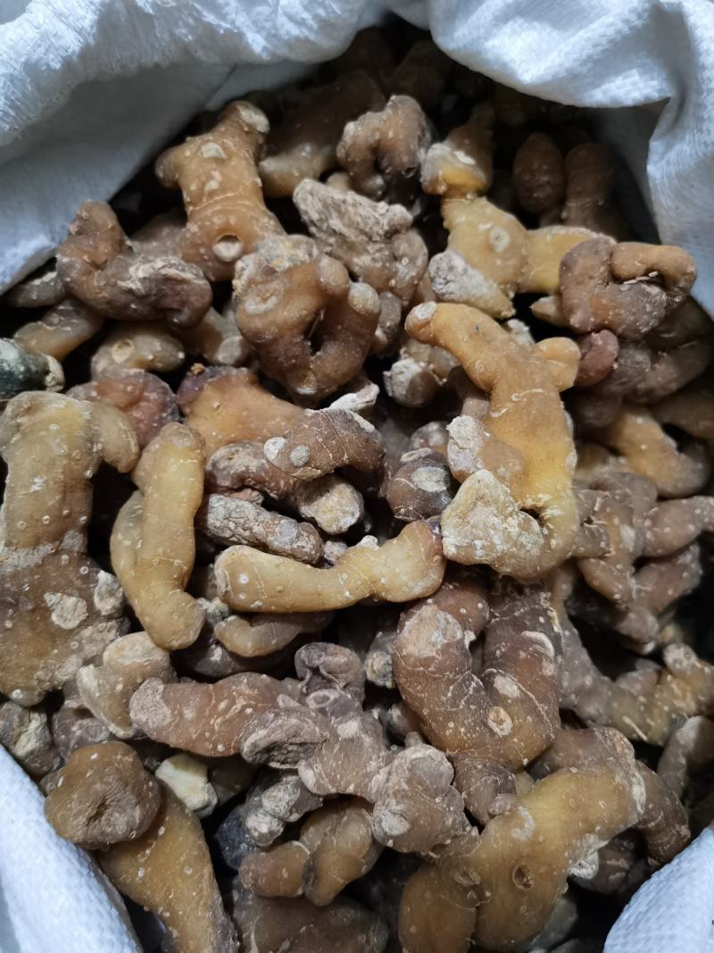 秦岭野生正品鸡头黄精姜型黄精鸡头根鸡头参选货药厂货都有