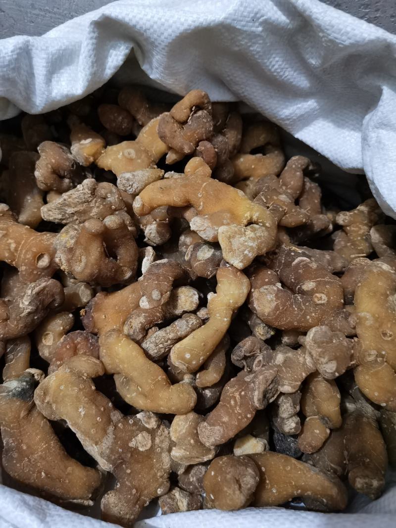秦岭野生正品鸡头黄精姜型黄精鸡头根鸡头参选货药厂货都有
