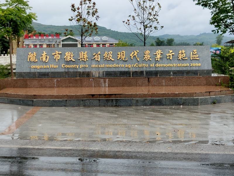 白皮松基地直销品质优良大量供应可视频看货