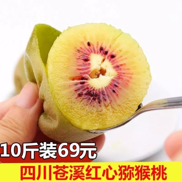 苍溪红心猕猴桃原产地直发包邮一件代发礼盒10斤装
