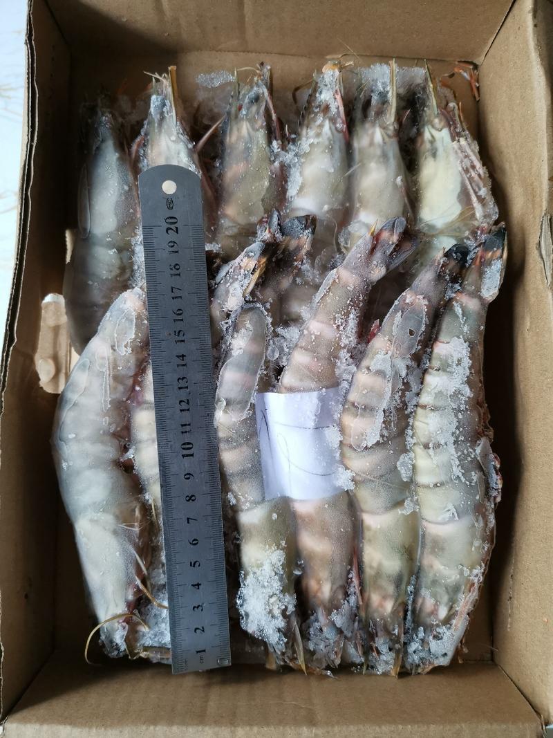 8条一盒900克以上天然大鬼虾老虎虾斑节虾新鲜急冻