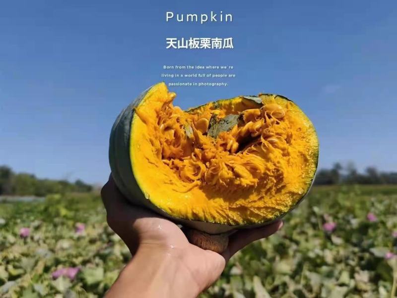 新疆板栗南瓜，一件代发包邮，口感粉糯香甜，非常好