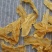 110头原色新西兰鳕鱼胶花胶批发泡发厚肉胶质好