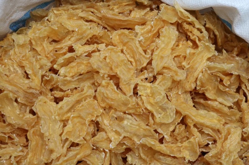 110头原色新西兰鳕鱼胶花胶批发泡发厚肉胶质好