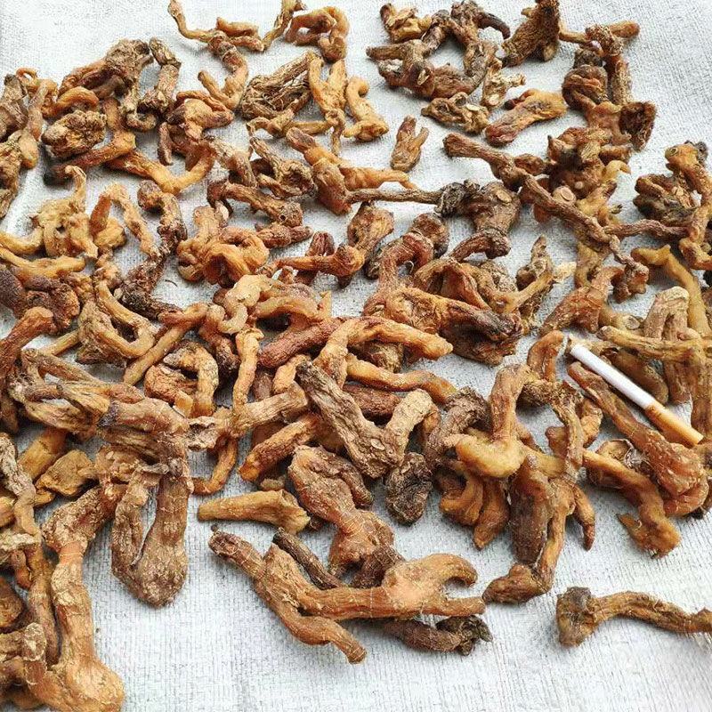 秦岭野生正品鸡头黄精姜型黄精鸡头根鸡头参选货药厂货都有