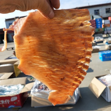 鱿鱼板味道鲜1件10斤！小朋友喜欢的零食产地直发不包邮