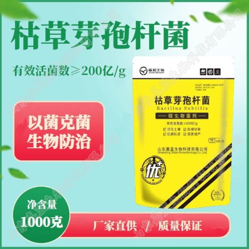 枯草芽孢杆菌农业种植微生物菌剂抗病促生长改良土壤水溶枯草