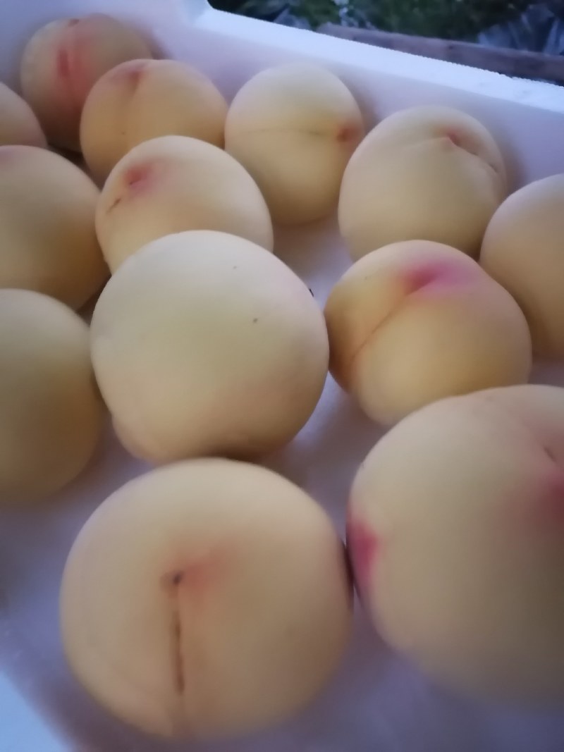 甜黄金桃