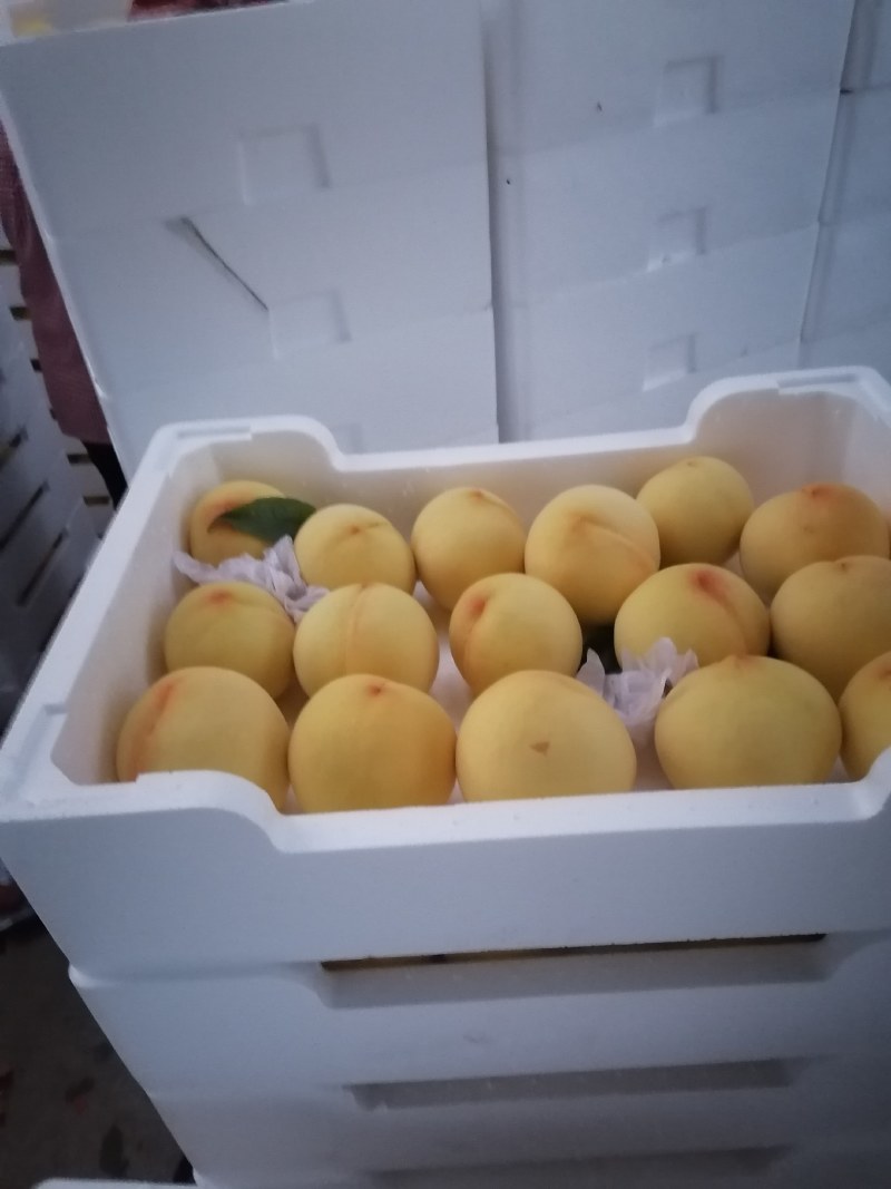 甜黄金桃