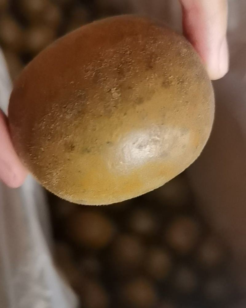 罗汉果，干货香料专供，大量现货，门店专卖，欢迎联系