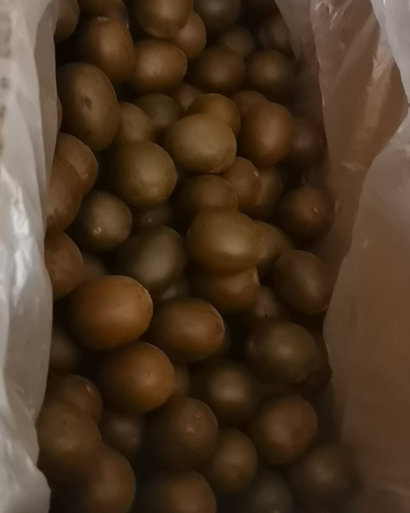 罗汉果，干货香料专供，大量现货，门店专卖，欢迎联系