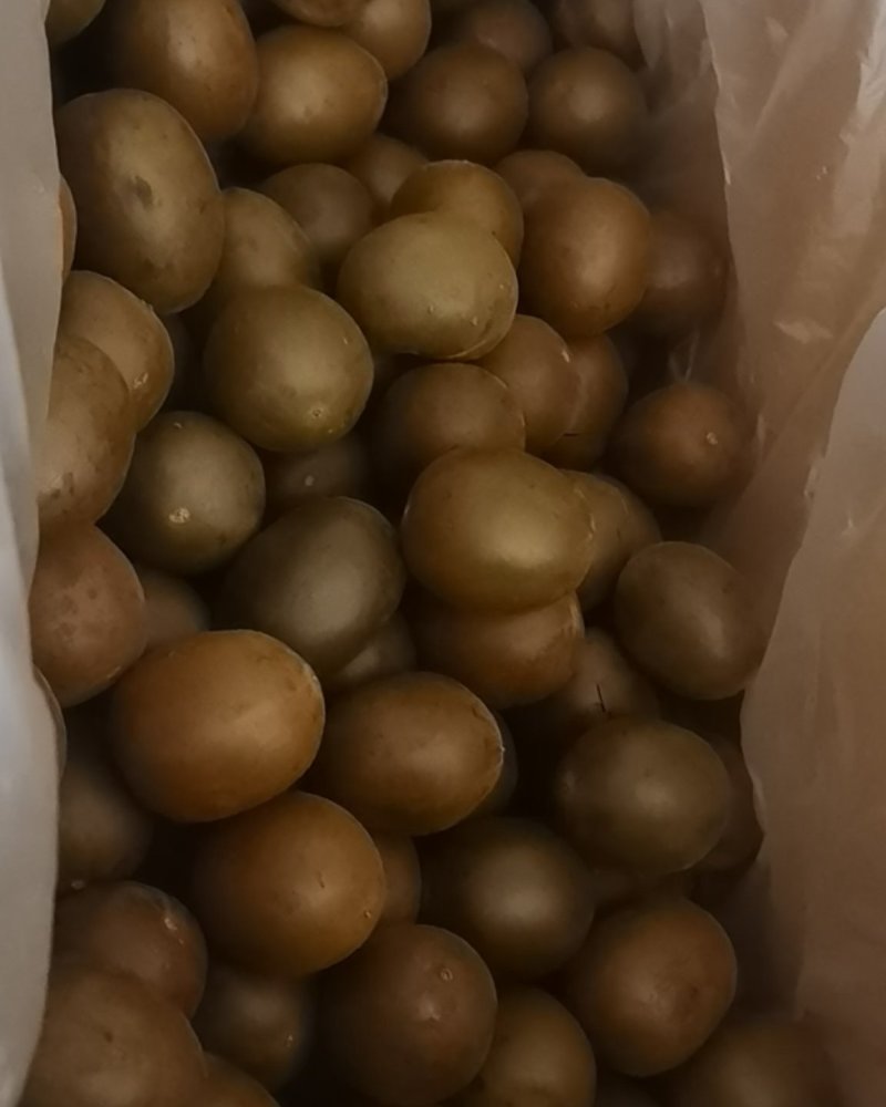 罗汉果，干货香料专供，大量现货，门店专卖，欢迎联系