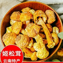 云南姬松茸云南特产松茸菇食用菌煲汤鲜香美味干货包