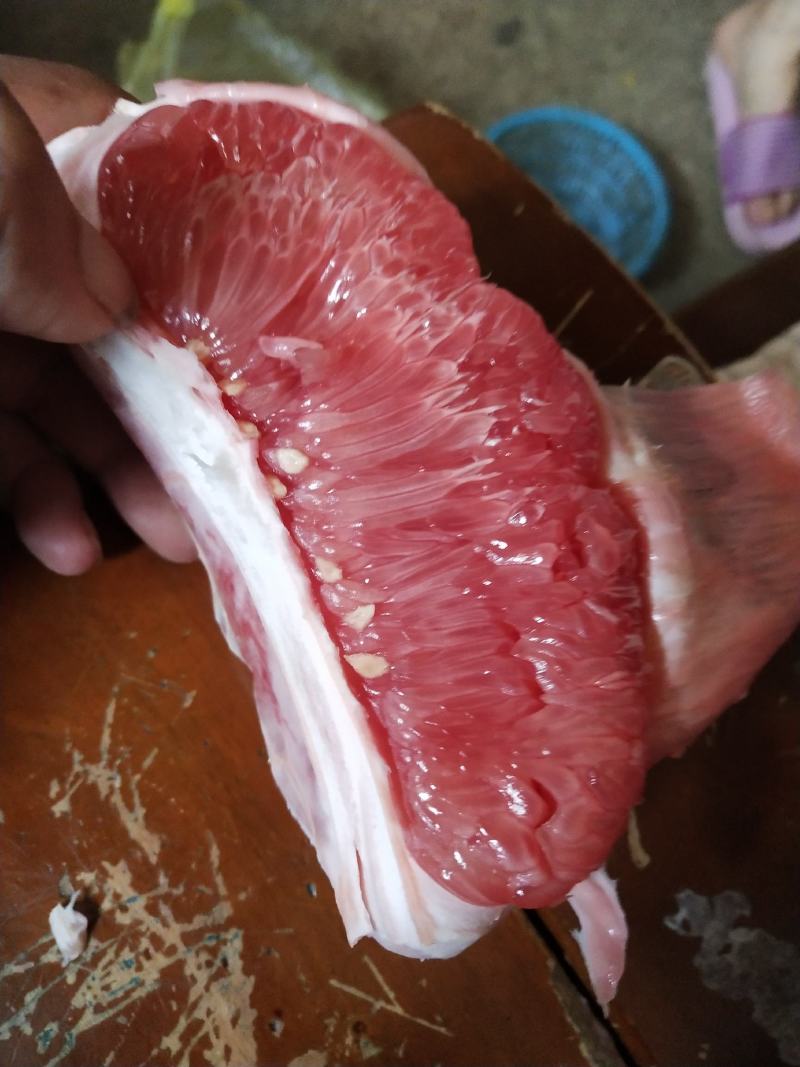 广西三红密柚上市中