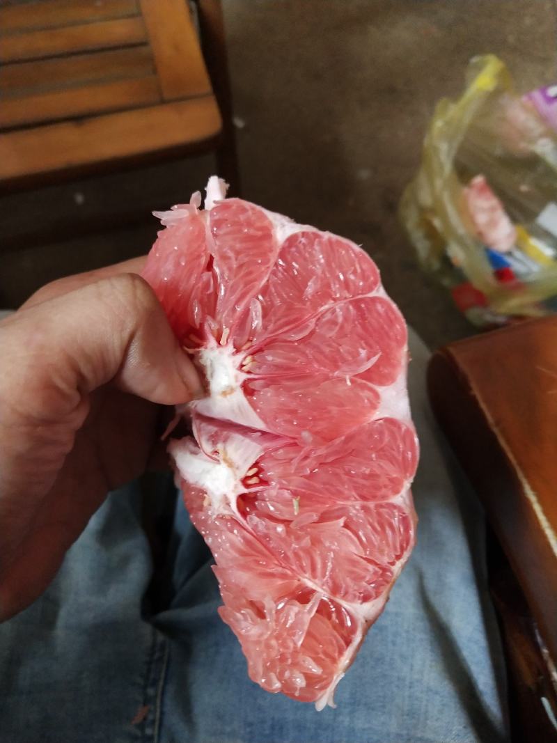 广西三红密柚上市中