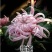 四季菊大菊花盆栽花卉室内庭院地栽植物秋菊当年开花乒乓菊九