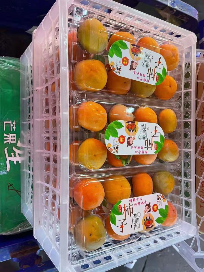 永济七月黄！胎里红，吊红柿子大量上市中，需要的联系我
