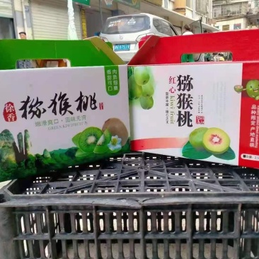 正字江山徐香猕猴桃