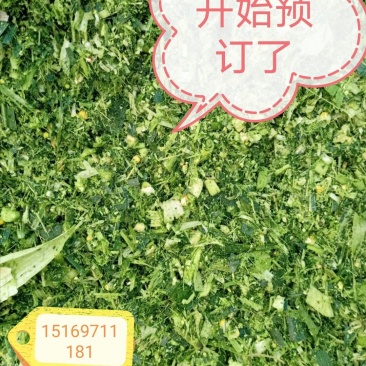 玉米秸秆，青储饲料，牛羊鲜草，预订开始了，还有九百多吨，