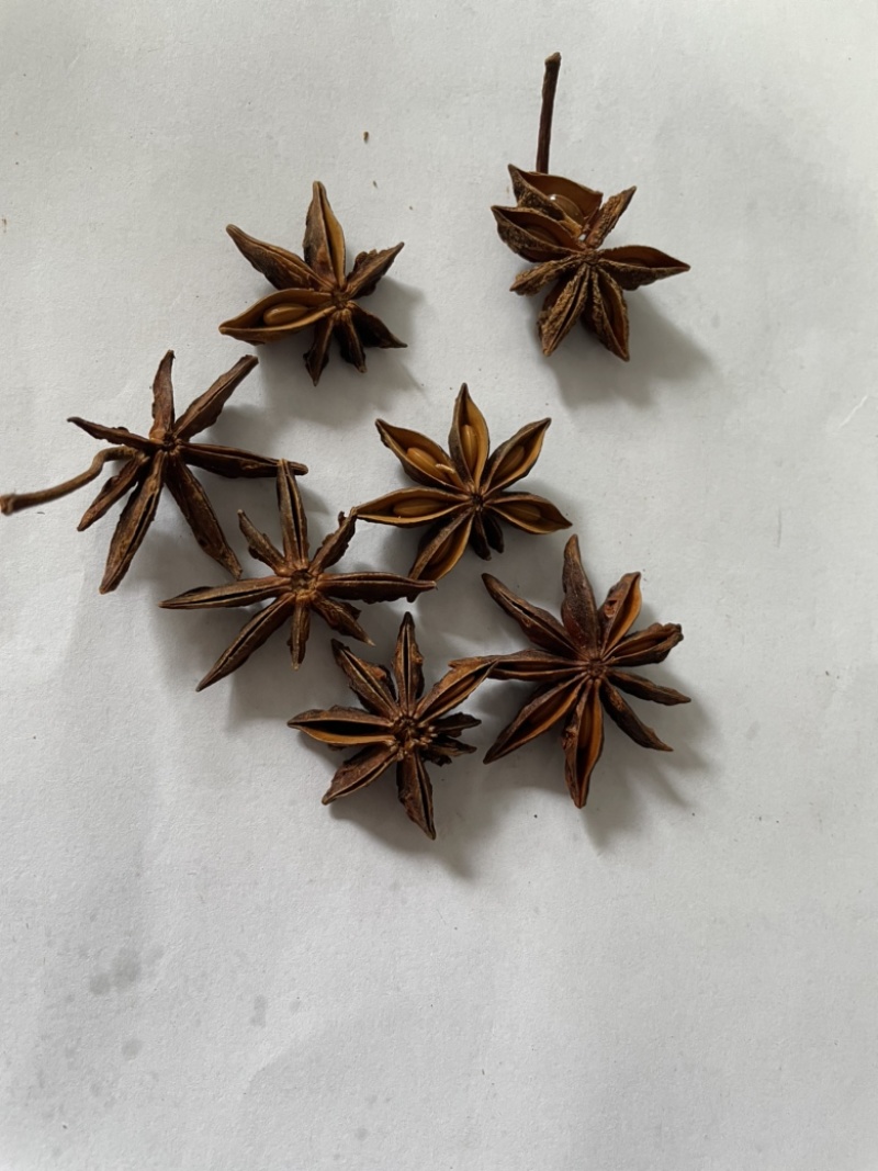 八角、🌟八角大料、无硫新八角、纯干八角、只作精品。