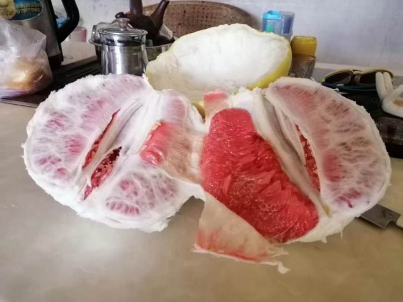 梅州红肉蜜柚，九月上市，诚招代理，一件代发