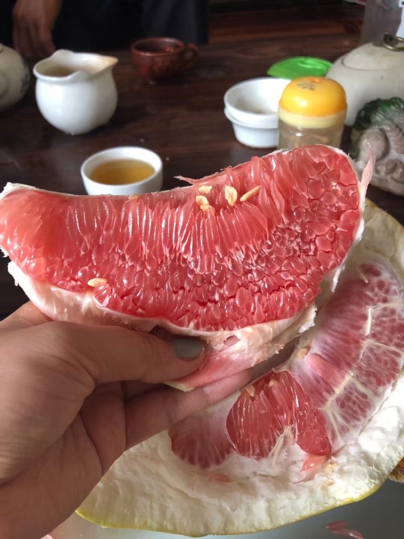 梅州红肉蜜柚，九月上市，诚招代理，一件代发