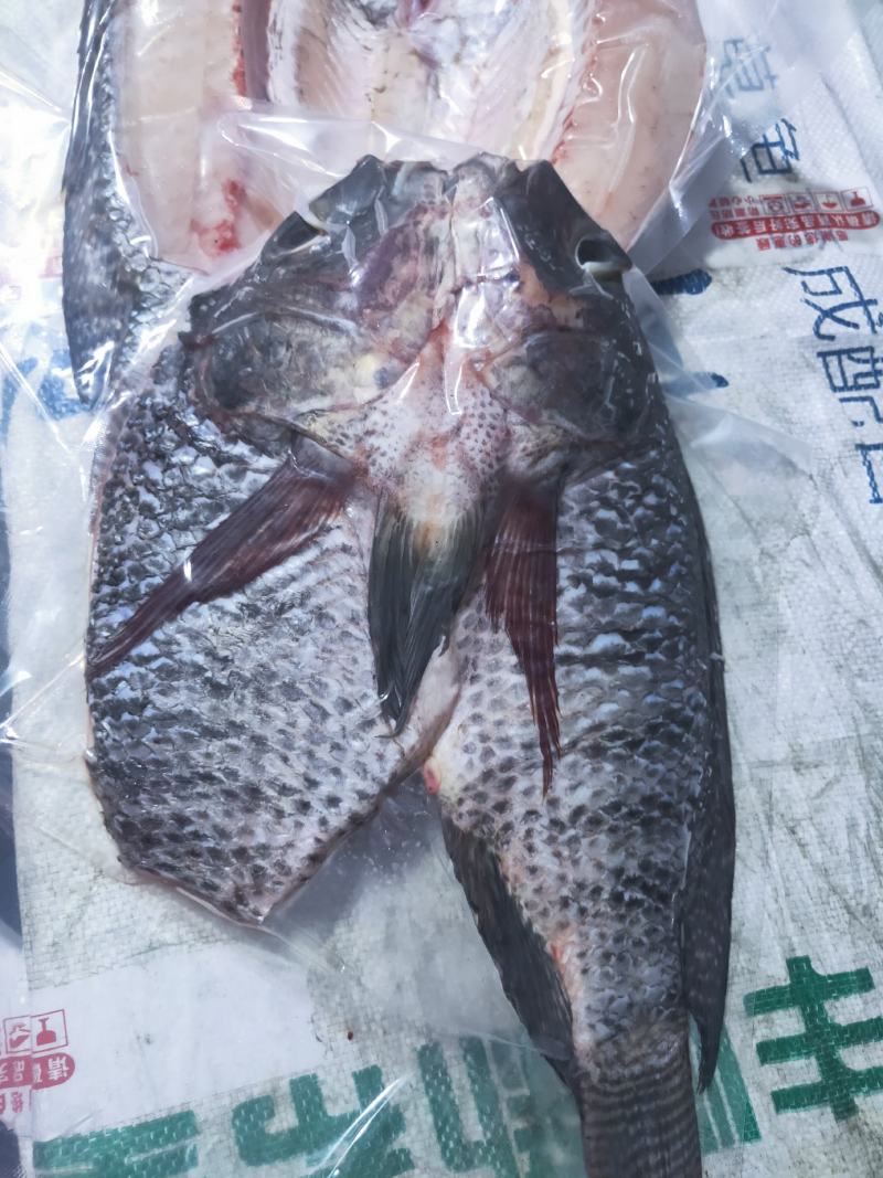 去鳞去内脏去腮/罗非鱼/烧烤火锅店特色食材/原汁原味