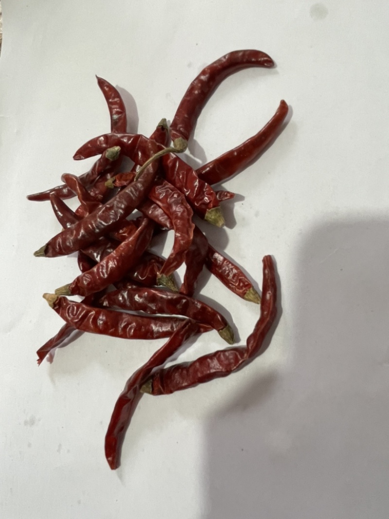 干辣椒、小辣椒🌶️朝天椒，只作精品、火锅料。