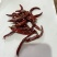 干辣椒、小辣椒🌶️朝天椒，只作精品、火锅料。