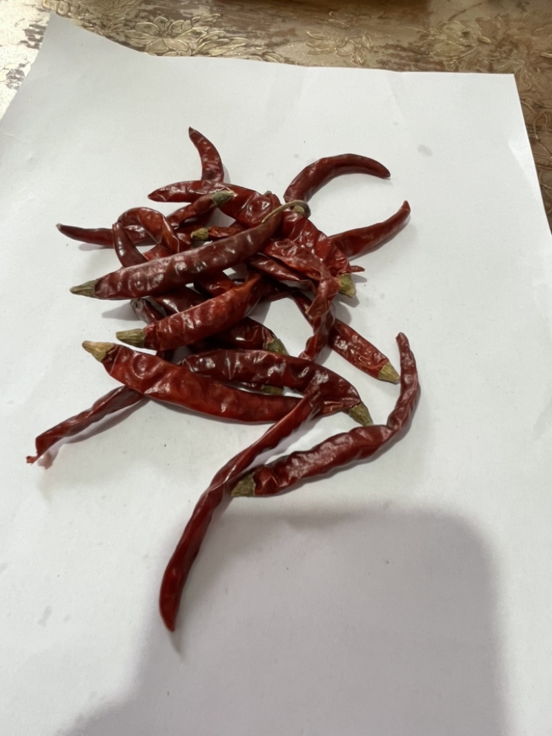 干辣椒、小辣椒🌶️朝天椒，只作精品、火锅料。