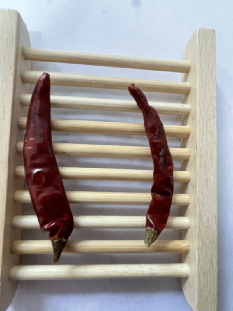 干辣椒、小辣椒🌶️朝天椒，只作精品、火锅料。