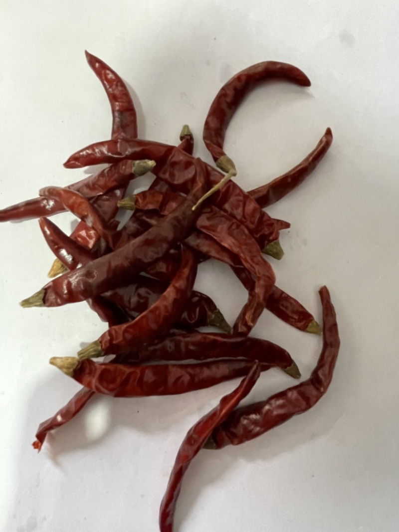 干辣椒、小辣椒🌶️朝天椒，只作精品、火锅料。
