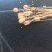 原产地阿坝灯笼花松贝母种子热卖中