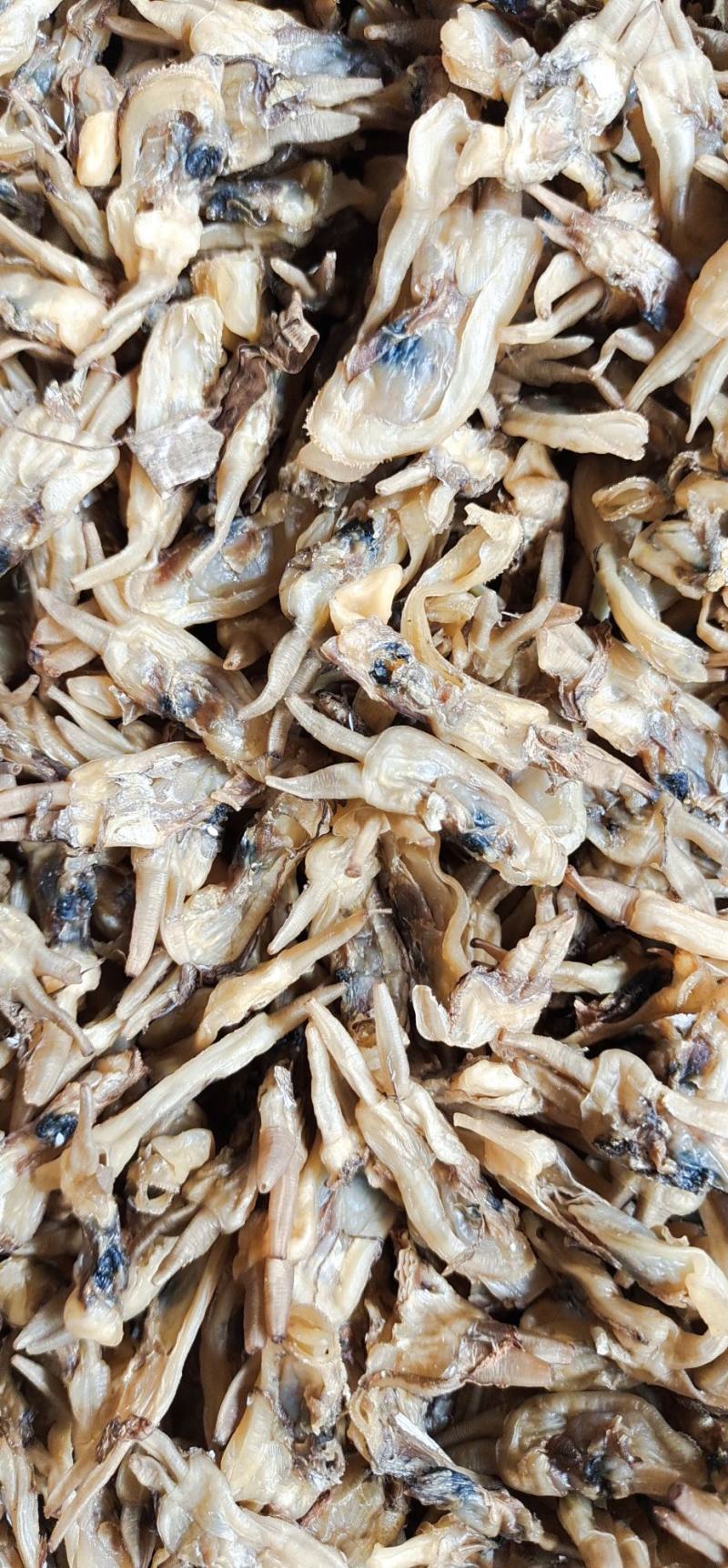 优质海蛏干大量加工中，欢迎各位老板咨询下单