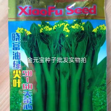 晓富油绿尖叶菜心菜苔种子，菜苔粗大,叶脉细,整齐一致。