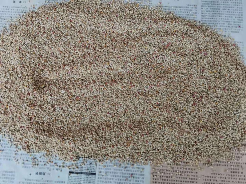 “粮食之母”藜麦，高海拔地区种植，藜麦有极高营养价值