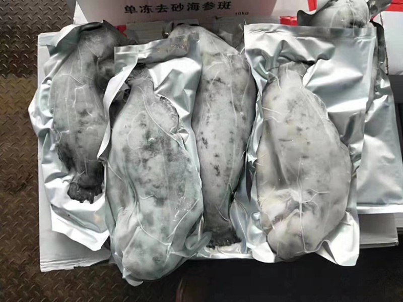 冰岛去砂海参斑