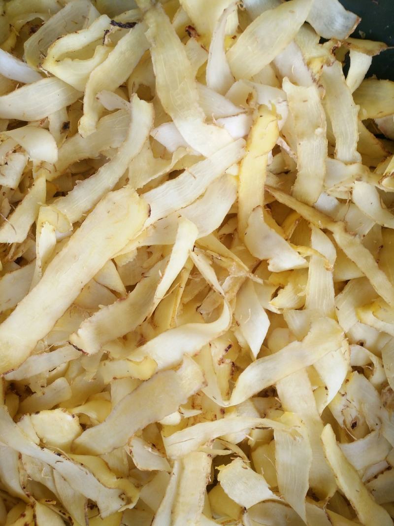 玉竹
