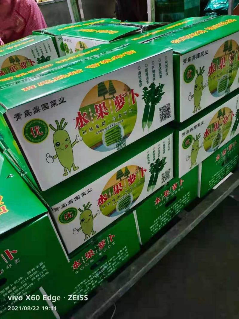 青萝卜春天秋天大量供应质优价廉