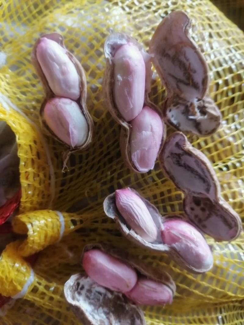 鲜花生，鲁花，小白沙，大白沙，四粒红，适合超市，电商