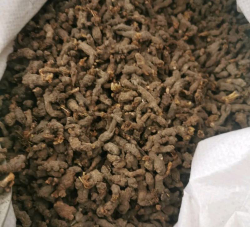 天葵子统装500g产地四川振兴药材购销站量大从优
