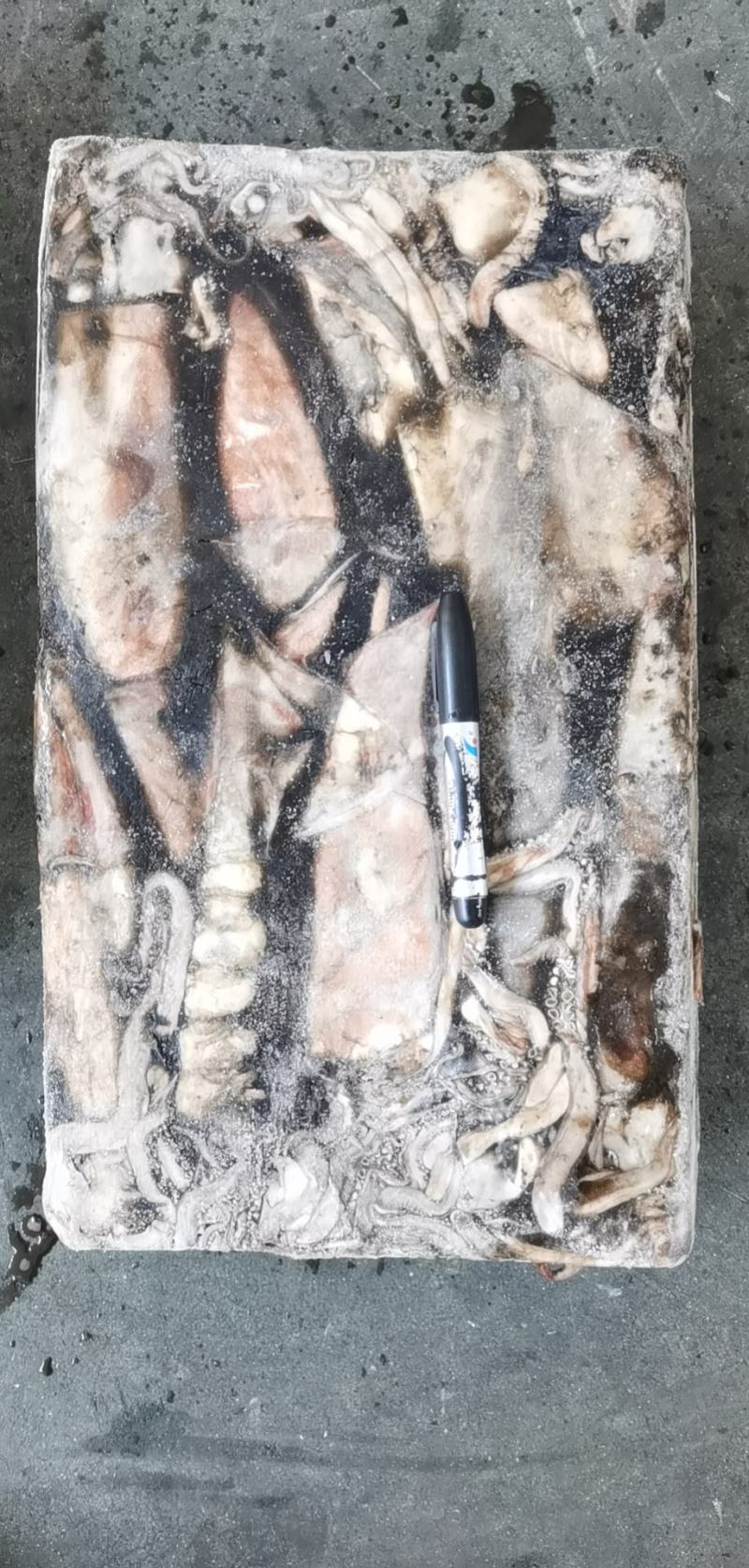 秘鲁鱿鱼质量超级好船上直接冻的25斤板就为了走市场懂的来