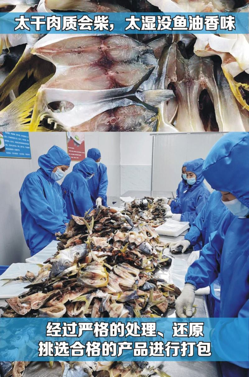深海金鲳鱼干阳江一夜埕半干金鲳鱼专注金鲳鱼干特产