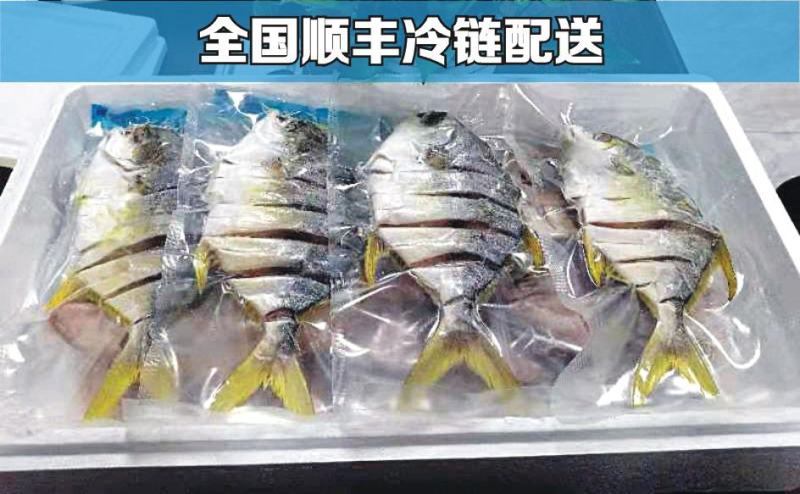 深海金鲳鱼干阳江一夜埕半干金鲳鱼专注金鲳鱼干特产