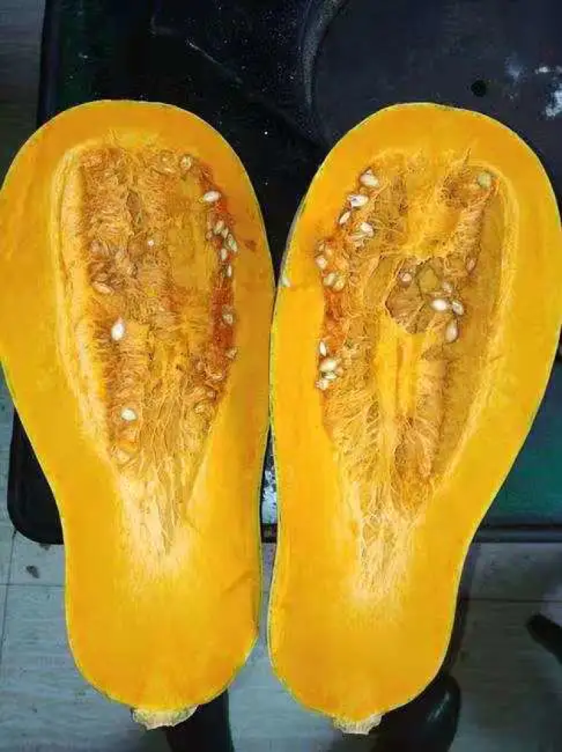 湖北金韩蜜本南瓜大量有货个头大条形好口感好，全黄产地直销