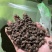 【厂里直销】生物有机肥发酵大豆生物菌腐熟肥料菌肥