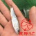 金大头鱼苗鲢鱼苗金色大头鱼苗批发金色大头鱼苗